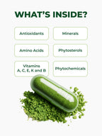 USDA Organic Moringa Capsules (120 Ct.)