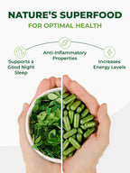 USDA Organic Moringa Capsules (120 Ct.)